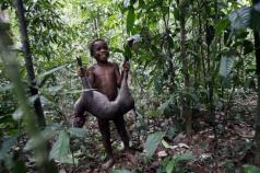 Пигмеи эфе – загнанные в глубину лесов Как переводится с африканского величиной с кулак