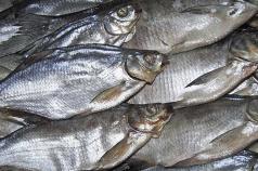 Как быстро посолить мелкую рыбу в домашних условиях или вкусная рыба быстрого посола